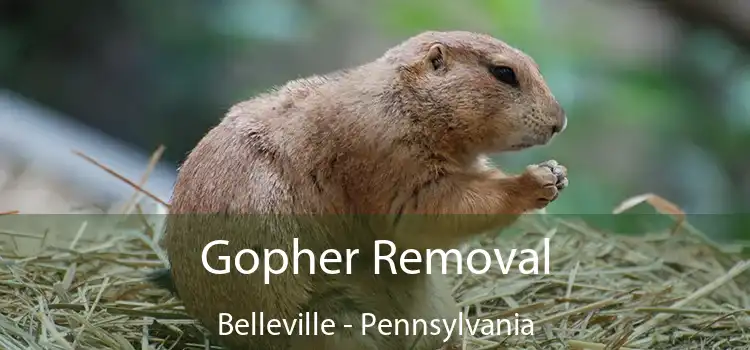 Gopher Removal Belleville - Pennsylvania