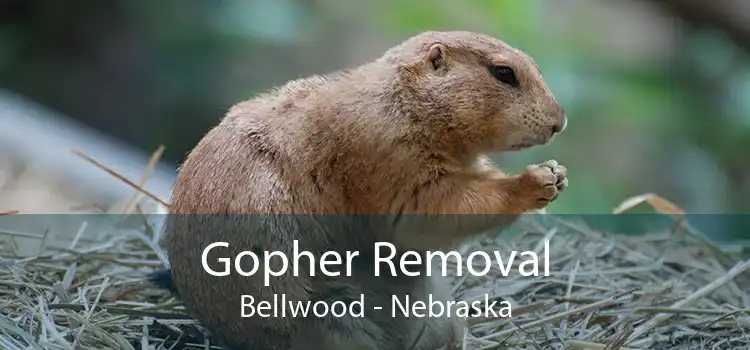 Gopher Removal Bellwood - Nebraska