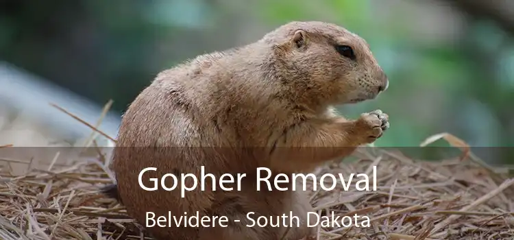 Gopher Removal Belvidere - South Dakota