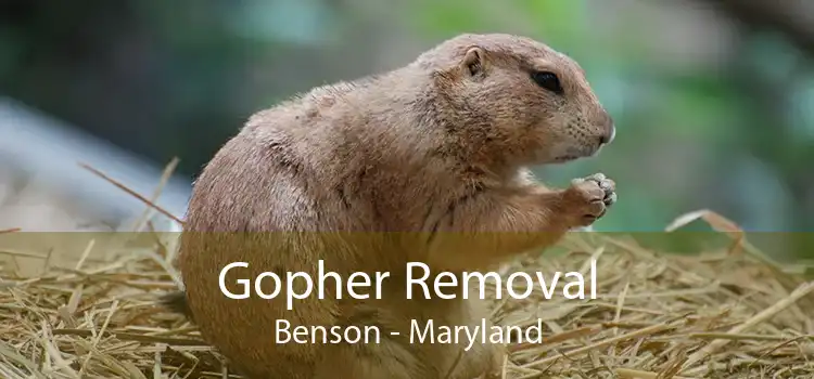 Gopher Removal Benson - Maryland