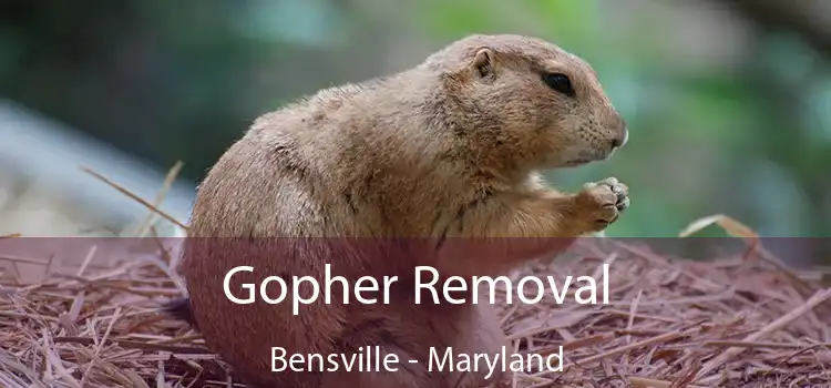 Gopher Removal Bensville - Maryland