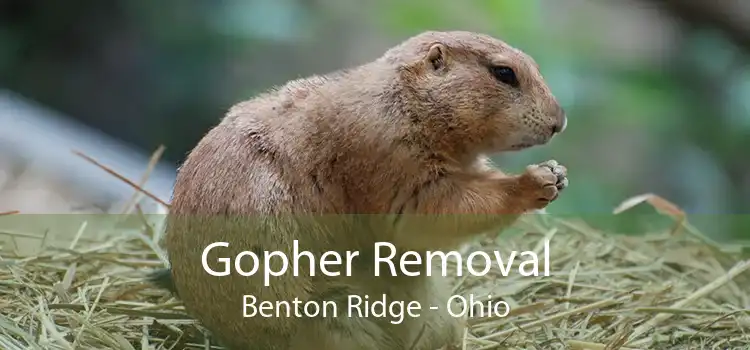 Gopher Removal Benton Ridge - Ohio