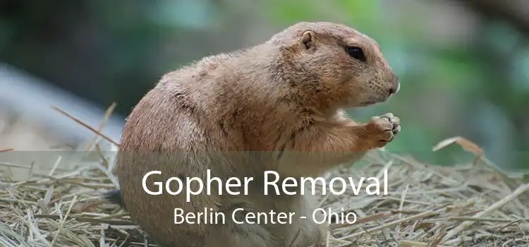 Gopher Removal Berlin Center - Ohio