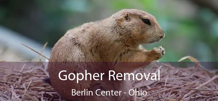 Gopher Removal Berlin Center - Ohio