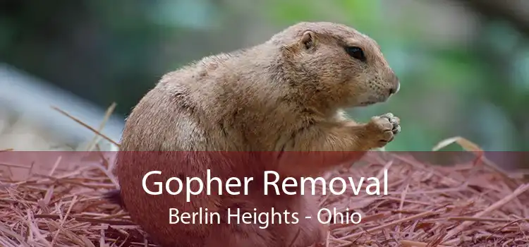Gopher Removal Berlin Heights - Ohio