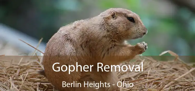 Gopher Removal Berlin Heights - Ohio