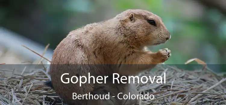 Gopher Removal Berthoud - Colorado