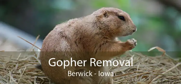 Gopher Removal Berwick - Iowa