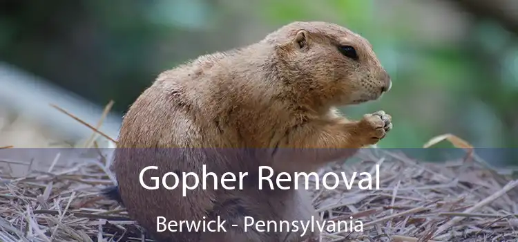 Gopher Removal Berwick - Pennsylvania