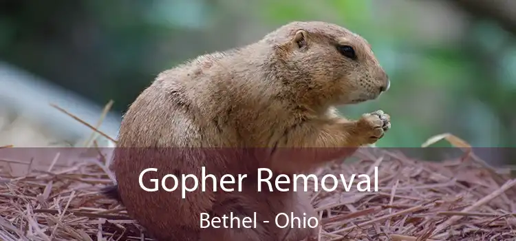 Gopher Removal Bethel - Ohio