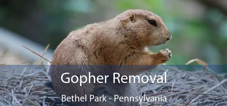 Gopher Removal Bethel Park - Pennsylvania