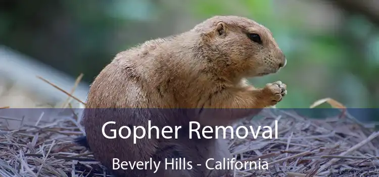 Gopher Removal Beverly Hills - California