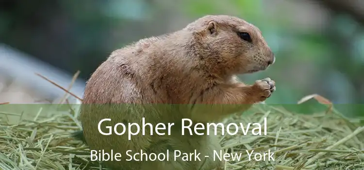 Gopher Removal Bible School Park - New York