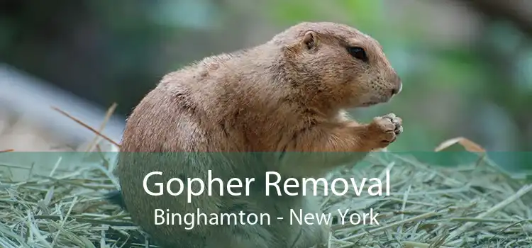 Gopher Removal Binghamton - New York