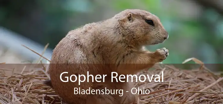 Gopher Removal Bladensburg - Ohio