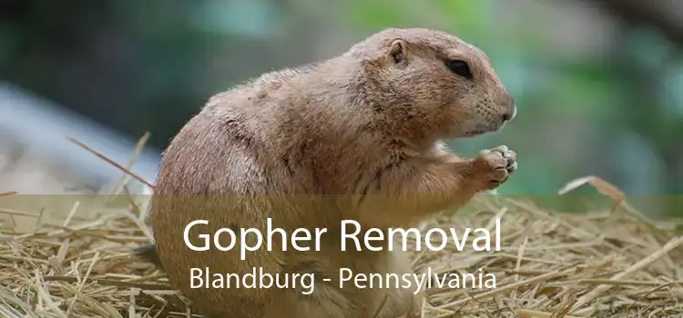 Gopher Removal Blandburg - Pennsylvania