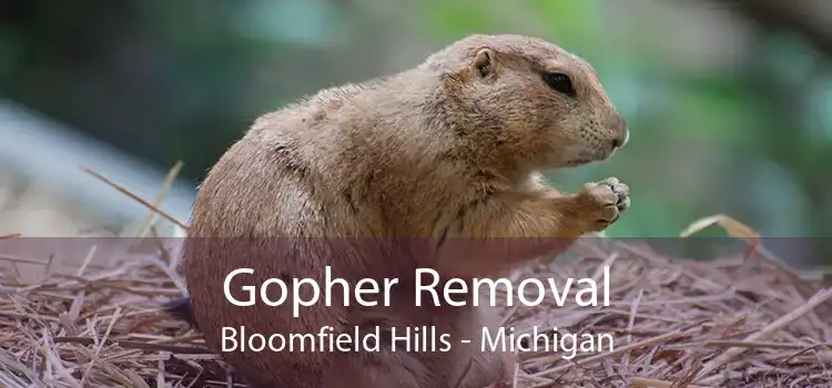 Gopher Removal Bloomfield Hills - Michigan