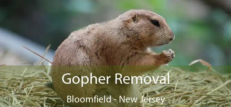 Gopher Removal Bloomfield - New Jersey