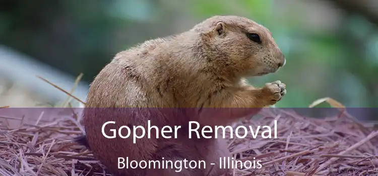 Gopher Removal Bloomington - Illinois