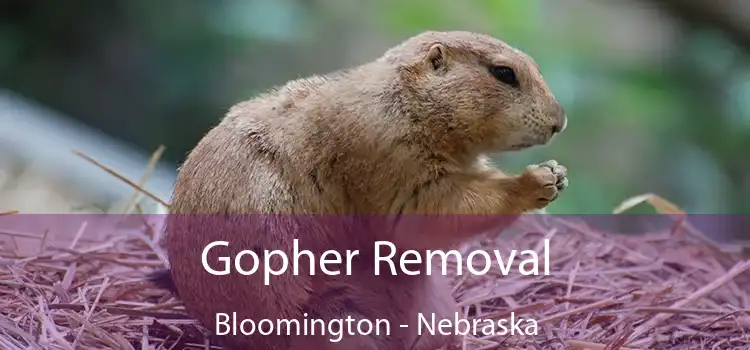 Gopher Removal Bloomington - Nebraska