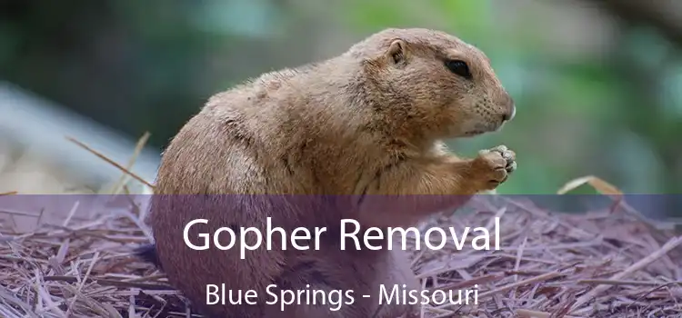 Gopher Removal Blue Springs - Missouri