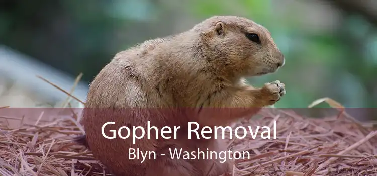 Gopher Removal Blyn - Washington