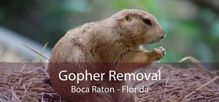 Gopher Removal Boca Raton - Florida
