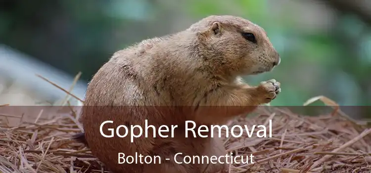 Gopher Removal Bolton - Connecticut