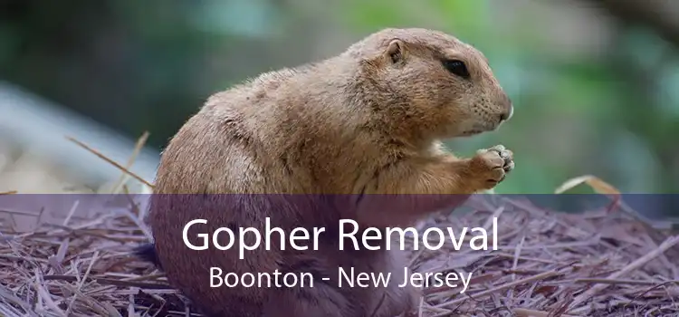 Gopher Removal Boonton - New Jersey