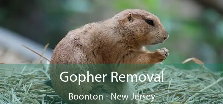 Gopher Removal Boonton - New Jersey