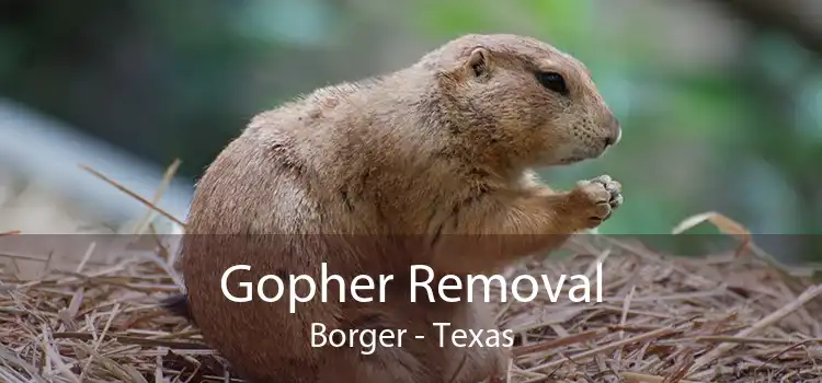 Gopher Removal Borger - Texas