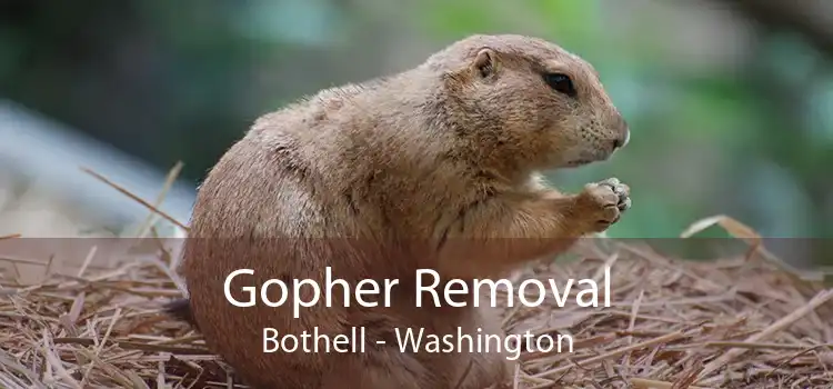 Gopher Removal Bothell - Washington