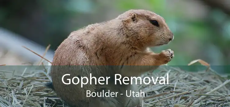 Gopher Removal Boulder - Utah