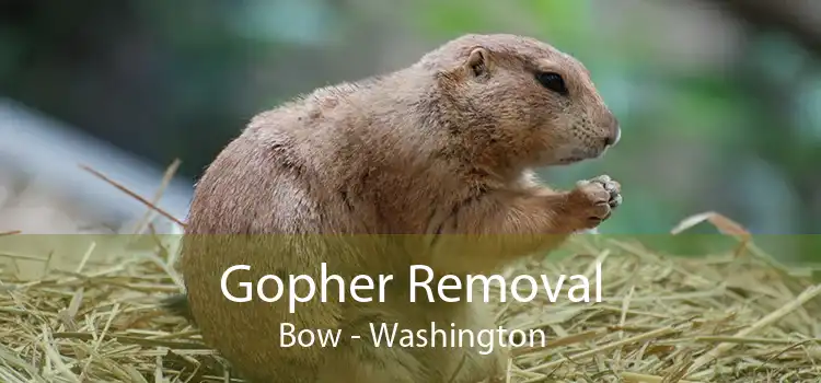 Gopher Removal Bow - Washington