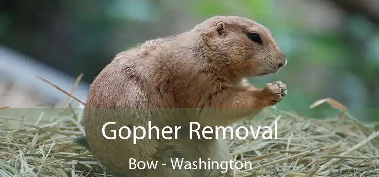 Gopher Removal Bow - Washington