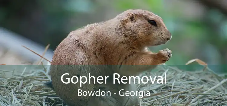 Gopher Removal Bowdon - Georgia