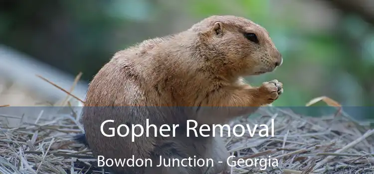 Gopher Removal Bowdon Junction - Georgia