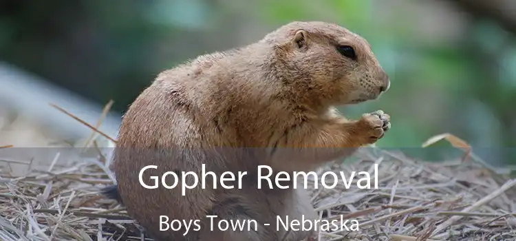 Gopher Removal Boys Town - Nebraska