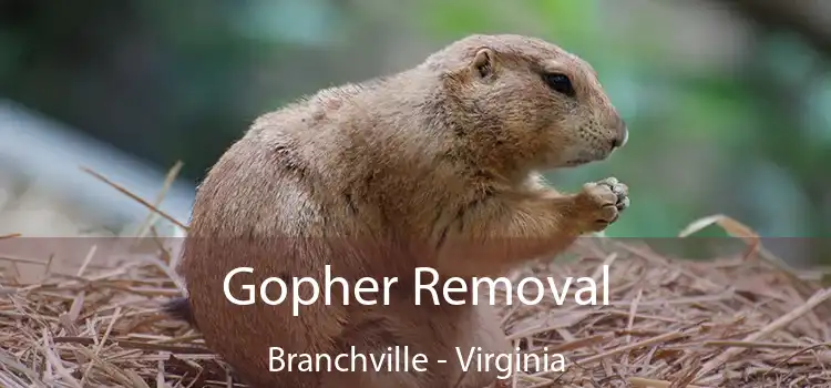 Gopher Removal Branchville - Virginia