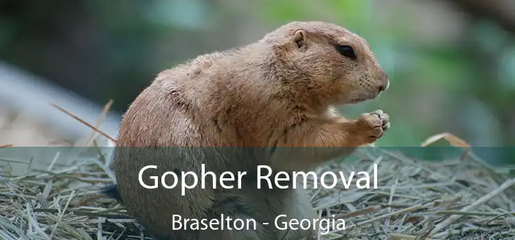 Gopher Removal Braselton - Georgia