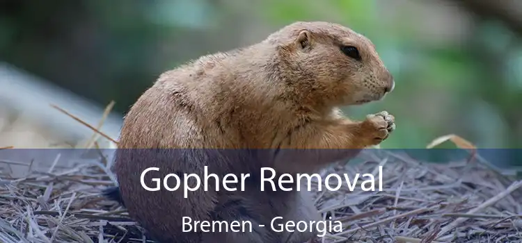 Gopher Removal Bremen - Georgia