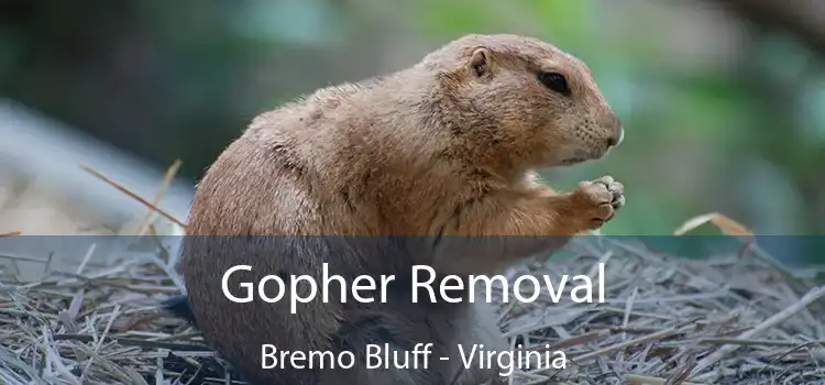 Gopher Removal Bremo Bluff - Virginia