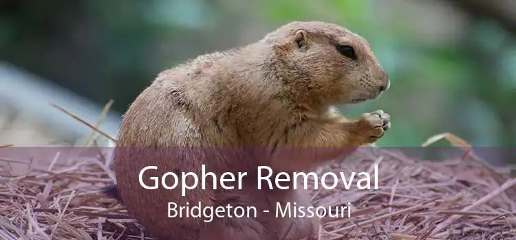 Gopher Removal Bridgeton - Missouri