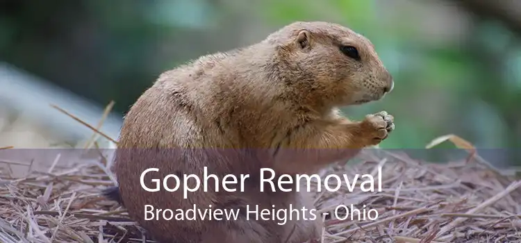 Gopher Removal Broadview Heights - Ohio