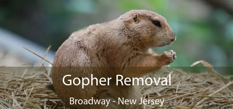 Gopher Removal Broadway - New Jersey