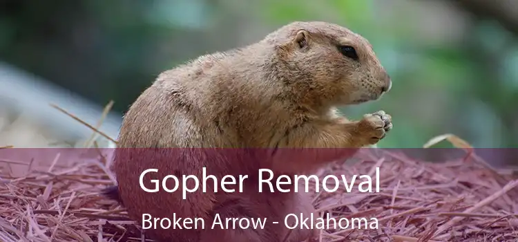 Gopher Removal Broken Arrow - Oklahoma