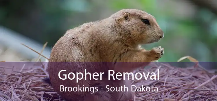 Gopher Removal Brookings - South Dakota