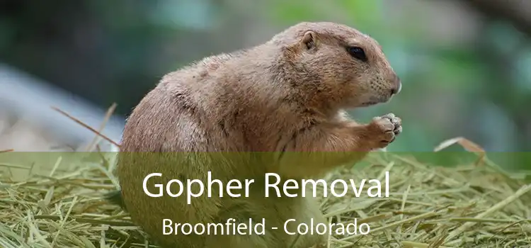 Gopher Removal Broomfield - Colorado