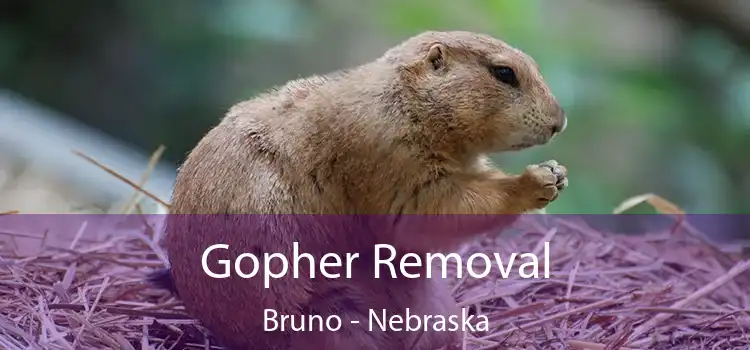 Gopher Removal Bruno - Nebraska