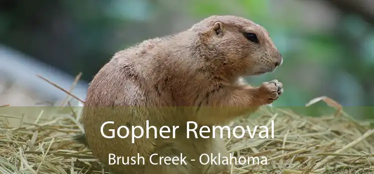 Gopher Removal Brush Creek - Oklahoma